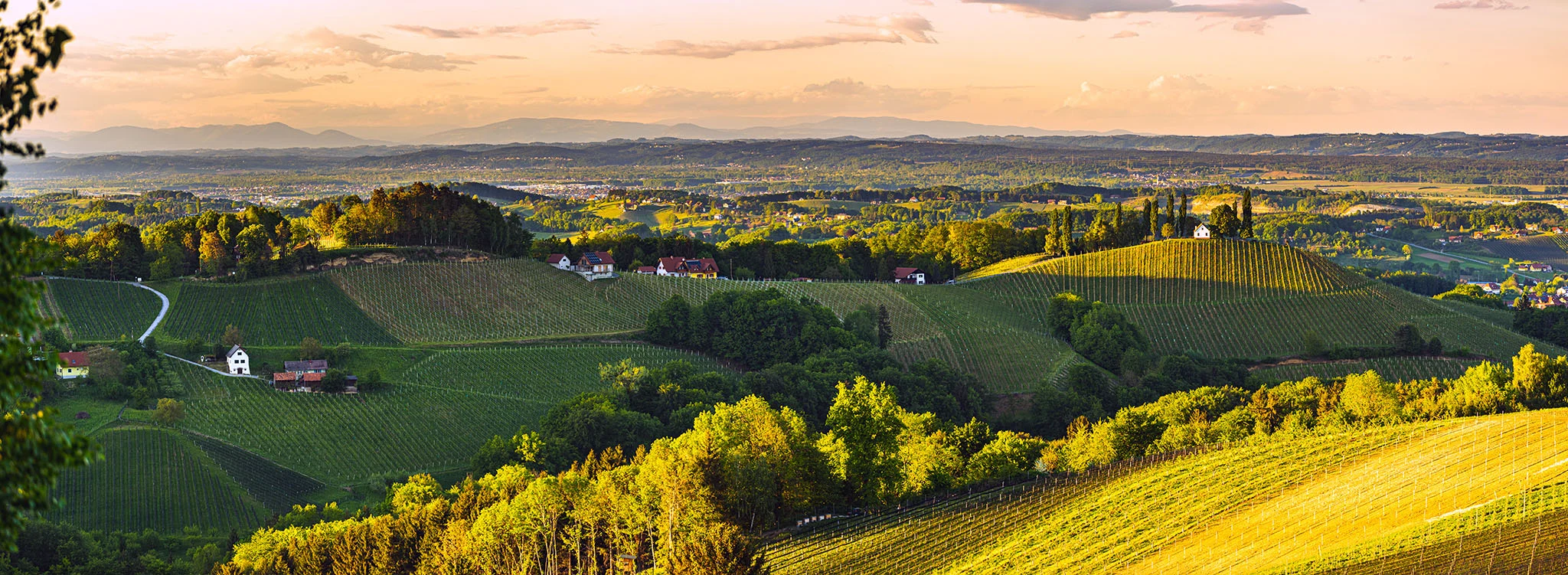 Sunset over South Styria vineyard landscape in Steiermark, Austria. Beautiful tranquil destination to visit for famous white wine. Tra